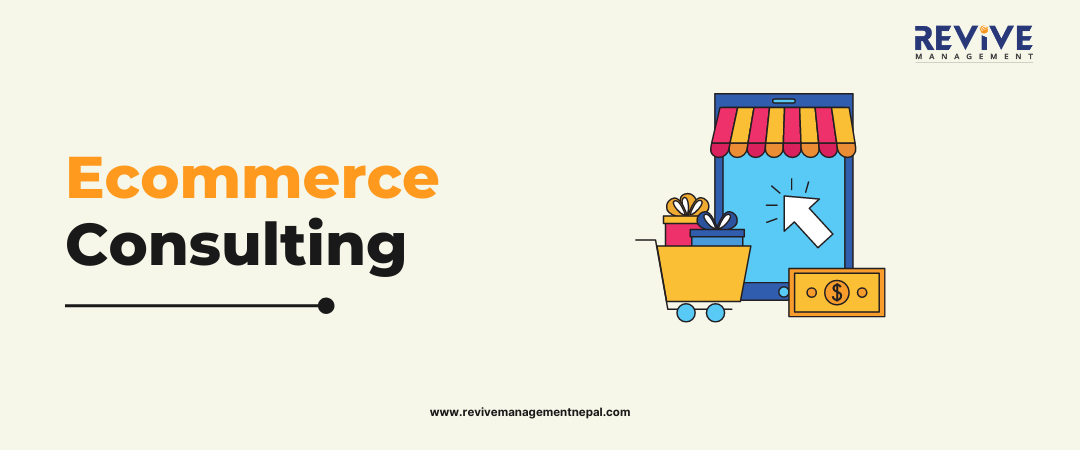 Ecommerce Consulting